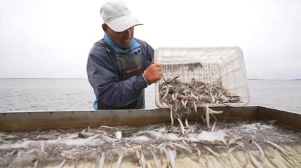 金秋龍江慶豐收，魚米滿倉振三農——寫在中國農民豐收節